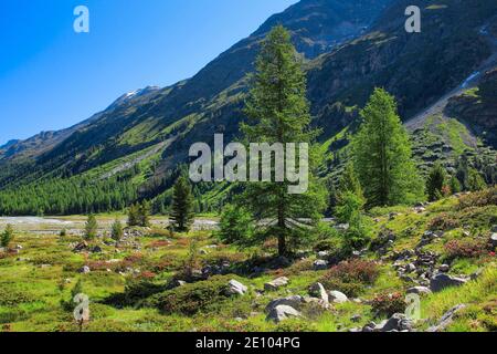 Val Roseg, Schweiz, Europa Stockfoto