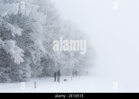 Oberried, Deutschland. Januar 2021. Im dichten Nebel am Gipfel des Schauinslands wandern die Menschen durch die verschneite Landschaft. Viele nutzen den letzten Tag des langen Neujahrswochenendes für einen Ausflug in den verschneiten Schwarzwald. Quelle: Philipp von Ditfurth/dpa/Alamy Live News Stockfoto