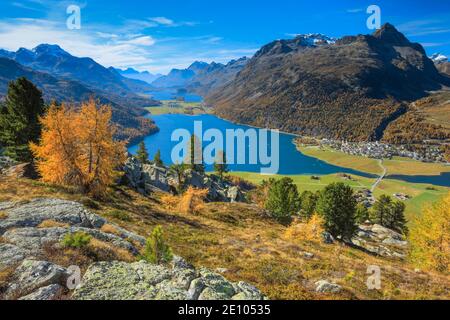 Silvaplaner See und Sils See, Oberengadin, Graubünden, Schweiz, Europa Stockfoto