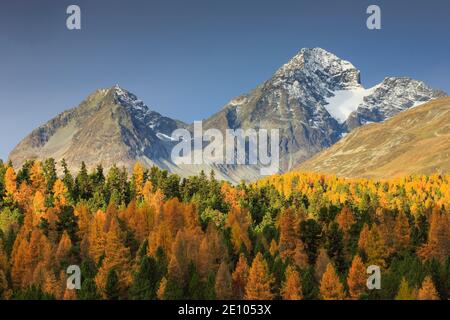 Piz Albana, Piz Julier, Oberengadin, Graubünden, Schweiz, Europa Stockfoto