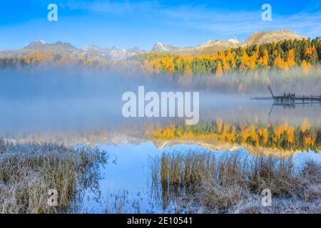 Lej da Staz, Oberengadin, Graubünden, Schweiz, Europa Stockfoto