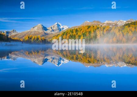 Lej da Staz, Oberengadin, Graubünden, Schweiz, Europa Stockfoto