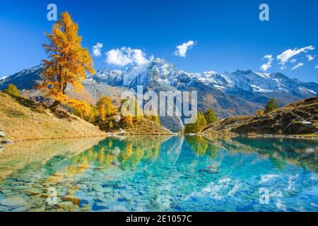 Lac Bleu, Dent de Perroc, Aiguille de la TSA, Wallis, Schweiz, Europa Stockfoto