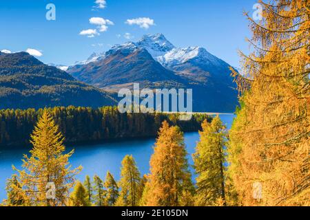 Silsersee, Piz da la Margna, 3158 m, Oberengadin, Graubünden, Schweiz, Europa Stockfoto