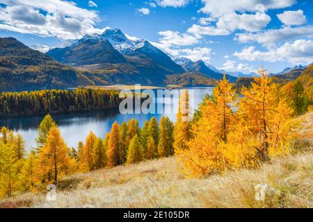 Silsersee, Piz da la Margna, 3158 m, Oberengadin, Graubünden, Schweiz, Europa Stockfoto