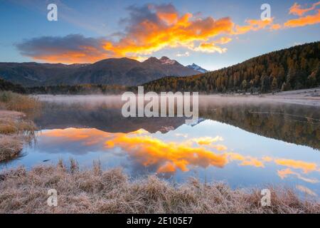 Lej da Staz, Oberengadin, Graubünden, Schweiz, Europa Stockfoto