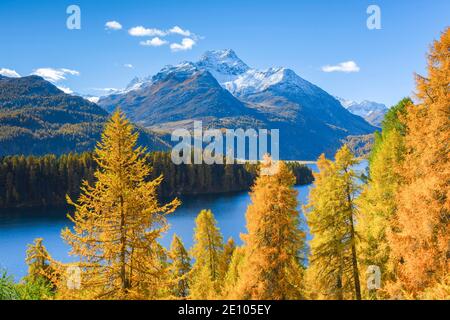 Silsersee, Piz da la Margna, 3158 m, Oberengadin, Graubünden, Schweiz, Europa Stockfoto