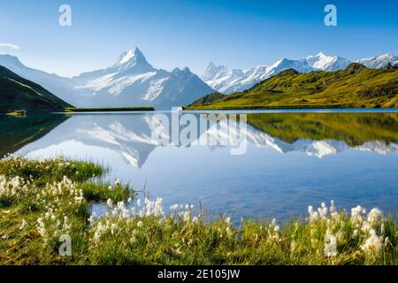 Bachalpsee, Wetterhorn, Schreckhorn, Finsteraarhorn, Schweiz, Europa Stockfoto