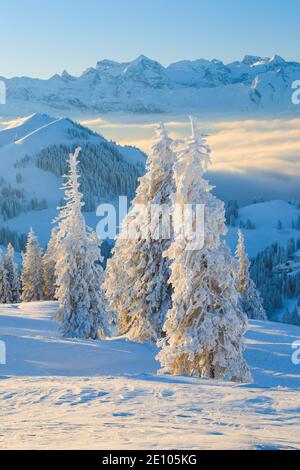 Blick von der Rigi, Schweiz, Europa Stockfoto