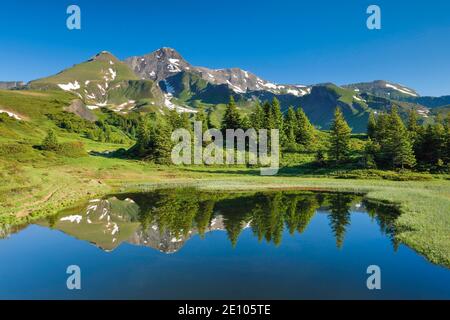 Chalberboden Blick auf Schwarzhorn, Bern, Schweiz, Europa Stockfoto