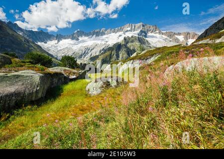 Dammastock, 3630m, Göscheneralp, Uri, Schweiz, Europa Stockfoto