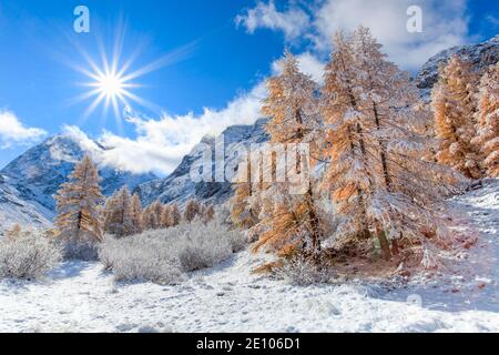 Mt. Collon, 3637 m, Arolatal, Wallis Schweiz Stockfoto