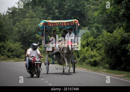 Ein tanga (Pferdekutsche), der Passagiere trägt, die sich auf einer Straße in Rajgir, Bihar, Indien bewegen. Stockfoto