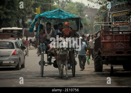 Ein tanga (Pferdekutsche) bewegt sich auf einer Straße, die Passagiere in Rajgir, Bihar, Indien. Stockfoto