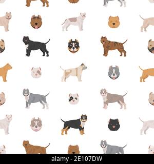 American Bully Hunde Set. Farbvarianten, verschiedene Posen. Nahtloses Muster. Vektorgrafik Stock Vektor