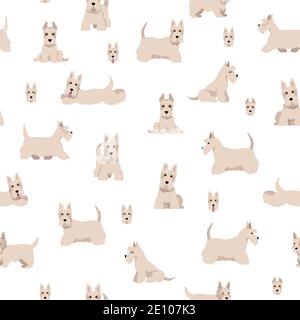 Schottische Terrier Hunde in verschiedenen Posen und Fellfarben. Erwachsene und Welpen scottie nahtlose Muster. Vektorgrafik Stock Vektor