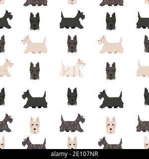 Schottische Terrier Hunde in verschiedenen Posen und Fellfarben. Erwachsene und Welpen scottie nahtlose Muster. Vektorgrafik Stock Vektor