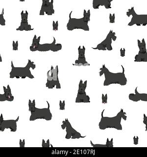 Schottische Terrier Hunde in verschiedenen Posen und Fellfarben. Erwachsene und Welpen scottie nahtlose Muster. Vektorgrafik Stock Vektor