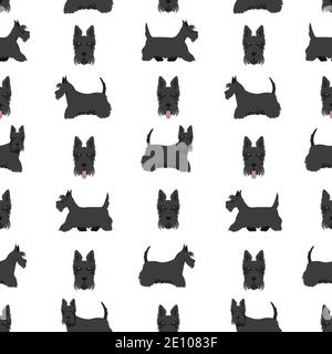 Schottische Terrier Hunde in verschiedenen Posen und Fellfarben. Erwachsene und Welpen scottie nahtlose Muster. Vektorgrafik Stock Vektor