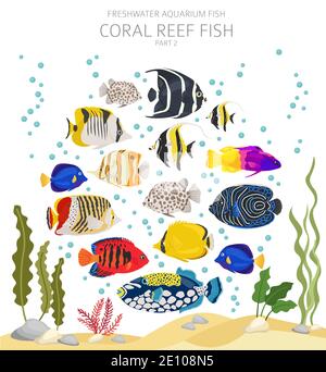 Korallenriff Fisch. Süßwasseraquarium Fisch Symbol Set flach Stil isoliert auf weiß. Vektorgrafik Stock Vektor