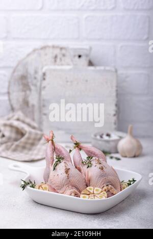 Rohes Wachtelfleisch mit Gewürzen, Knoblauch und Kräutern Stockfoto