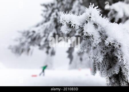 Oberried, Deutschland. Januar 2021. An einem Baum in der Nähe des Skilifts am Haldenköpfle hängen Eiskristalle, während im Hintergrund eine Frau ihren Schlitten den Hang hinauf zieht. Viele nutzen den letzten Tag des langen Neujahrswochenendes für einen Ausflug in den verschneiten Schwarzwald. Quelle: Philipp von Ditfurth/dpa/Alamy Live News Stockfoto