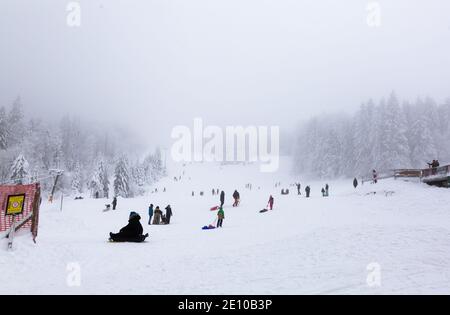 Oberried, Deutschland. Januar 2021. Im Nebel beim Skilift am Haldenköpfle fahren die Menschen mit dem Schlitten die Piste hinunter. Viele nutzen den letzten Tag des langen Neujahrswochenendes für einen Ausflug in den verschneiten Schwarzwald. Quelle: Philipp von Ditfurth/dpa/Alamy Live News Stockfoto
