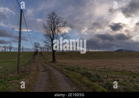 Eine unbefestigte Straße, die bergauf neben den Bäumen verläuft Stockfoto