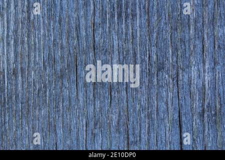 Graublauer Holzhintergrund mit vertikalen Brettern Stockfoto