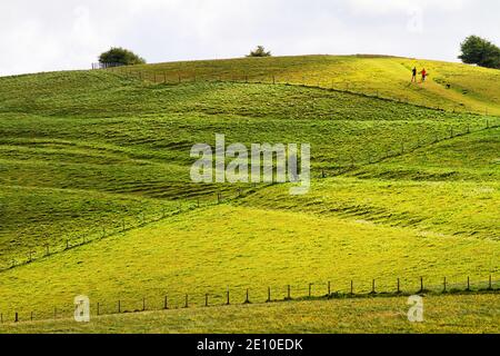 Joggen auf den Hügeln von Wiltshire Stockfoto