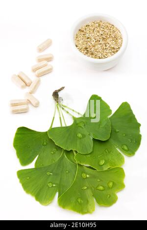 Ginkgo Geht Mit Medizin Stockfoto