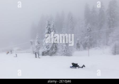 Oberried, Deutschland. Januar 2021. Arthur fährt mit einer Rodel in der Nähe des Skilifts am Haldenköpfle die Piste hinunter. Viele nutzen den letzten Tag des langen Neujahrswochenendes für einen Ausflug in den verschneiten Schwarzwald. Quelle: Philipp von Ditfurth/dpa/Alamy Live News Stockfoto