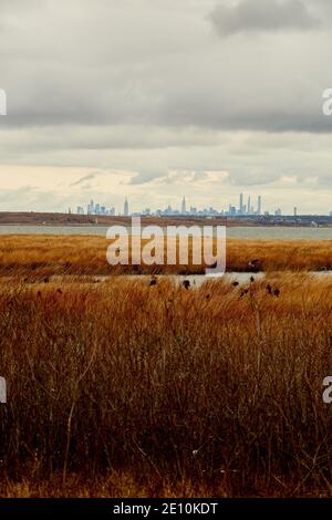 Midtown Manhattan von Jamaica Bay, Queens Stockfoto