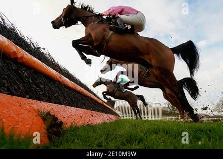 Läufer und Reiter in Aktion während der Sky Sports Racing Sussex National Handicap Chase auf der Plumpton Racecourse. Stockfoto