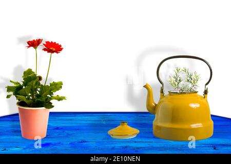 Gelbe Teekanne mit Rosmarinzweigen und roter Gänseblümchen-Gerbera Blumen in einem Topf auf einem mediterranen blauen Holztisch Mit Platz für Design Stockfoto