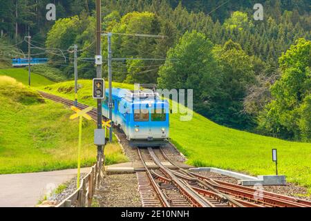 Rigi kulm, Schweiz - 25. Aug 2020: Ein blauer Sightseeing-Zug fährt mit der Zahnradbahn durch grüne Wiesen auf dem Mt. Rigi. Stockfoto