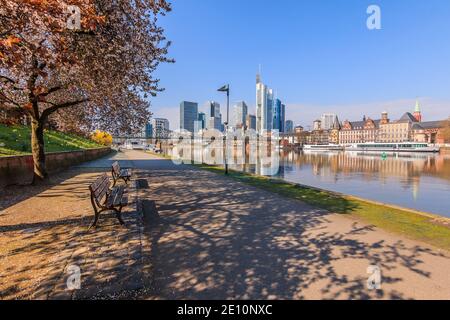 Flussweg am Main in Frankfurt. Baum mit Blumen und Bänken im Frühling. Wolkenkratzer im Finanzviertel mit Reflexionen Stockfoto