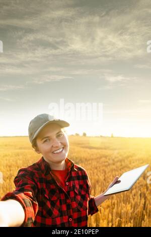 Eine Frau Bauer untersucht den Bereich der Getreide- und sendet die Daten an die Wolke aus der Tablette. Smart Farming und digitale Landwirtschaft. Stockfoto