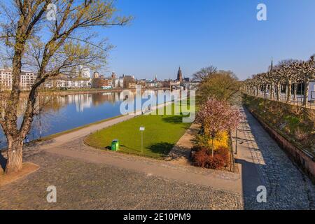 Park in Frankfurt am Main. Gepflasterter Weg mit Bäumen und Gras im Frühling mit blauem Himmel. Gebäude aus dem Zentrum der Altstadt in t Stockfoto