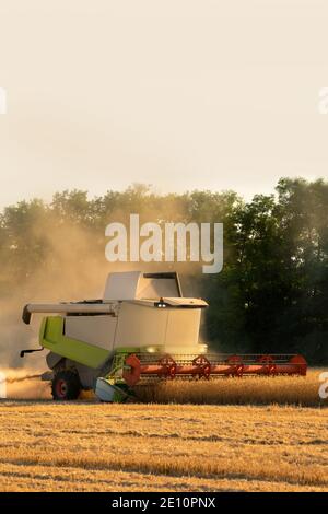 Autonomer Harvester auf dem Feld. Smart Farming-Konzept Stockfoto