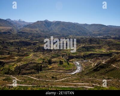 Panoramablick auf Pre inca gestufte Terrassen anden Landwirtschaft In Colca Canyon Tal Arequipa anden Berge Peru Südamerika Stockfoto