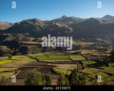 Panoramablick auf grüne Treppenterrassen anden in anden Berg Dorf Maca Colca Canyon Arequipa Peru Südamerika Stockfoto