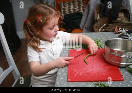 4-jähriges Mädchen, das grüne Bohnen für das Familienessen vorbereitet, Großbritannien Stockfoto