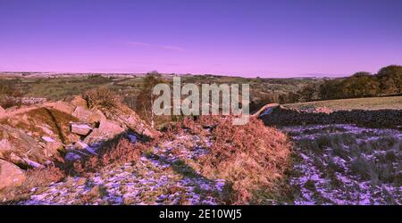 Die Natur beansprucht alte industrielle Landschaft zurück. Nidderdale aus verlassenen Steinbruch und Schutthaufen. Stockfoto