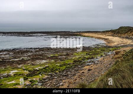 Waipapa Point Beach, Catlins, Neuseeland Stockfoto