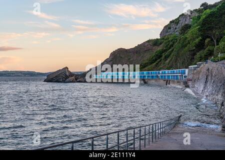 Blick auf die Strandhütten am Meadfoot Beach, Torquay, Torbay, England, Großbritannien Stockfoto