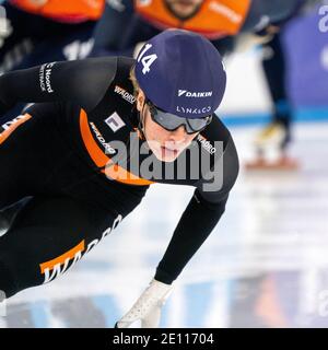 HEERENVEEN, NIEDERLANDE - 3. JANUAR: Jens van t Wout während der Niederländischen Nationalmeisterschaften Allround Shorttrack bei Thialf Icerink am 3. Januar 2 Stockfoto