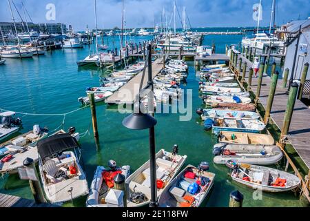 Motor- und Segelboote dockten an der Conch Harbour Marina in Key West in den Florida Keys an. Stockfoto