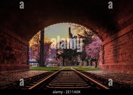 Tunnel aus dunkelroten Ziegeln. Historische Bahnstrecke im Park mit blühenden Bäumen nahe dem Main in Frankfurt. Skyline der finanzviertel Stockfoto