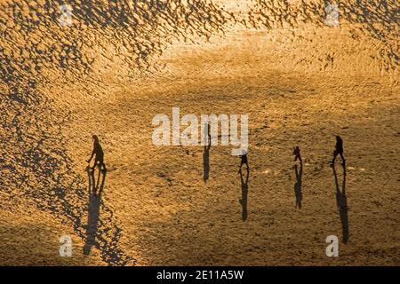 Swansea, Wales, Großbritannien. Januar 2021. Die Sonne am späten Nachmittag wirft Schatten auf Menschen, die an diesem Nachmittag in der Caswell Bay, Swansea, bei kaltem, aber sonnigem Wetter spazieren gehen. Quelle: Phil Rees/Alamy Live News Stockfoto